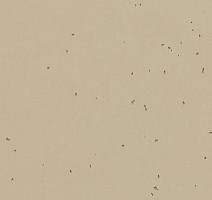 Линолеум Forbo Sphera Energetic 50237 mushroom фото 1 | FLOORDEALER